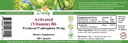 daily-manufacturing-activated-vitamin-b6-2.jpg