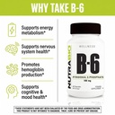 nutrabio-vitamin-b6-p5p-pyridoxal-5-phos-3.jpg