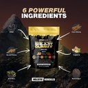 holistic-hercules-himalayan-gold-shilaji-2.jpg