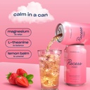 recess-mood-magnesium-adaptogen-drink-re-4.jpg