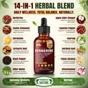 14-in-1-berberine-with-ceylon-cinnamon-s-3.jpg