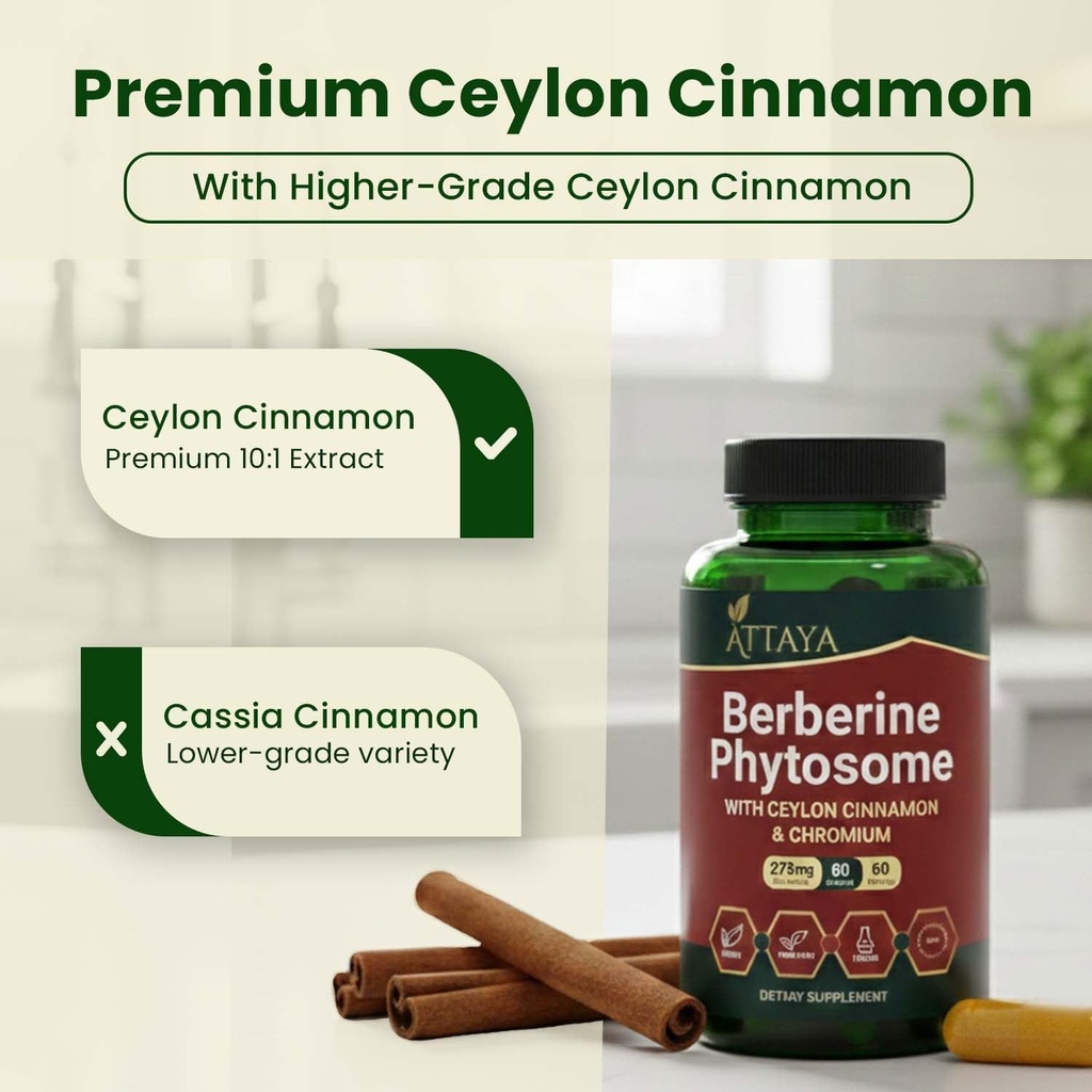 berberine-phytosome-supplement-berbevis--6.jpg