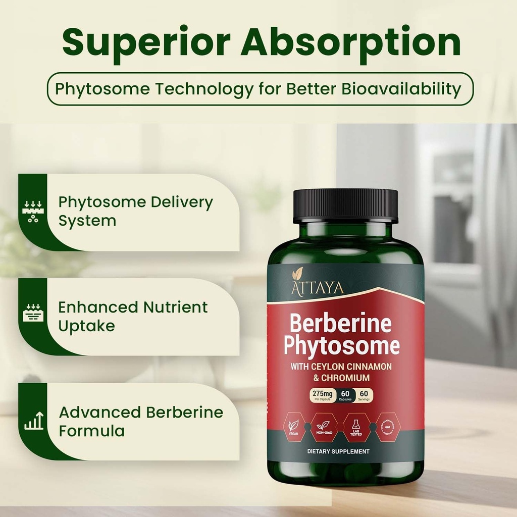 berberine-phytosome-supplement-berbevis--3.jpg