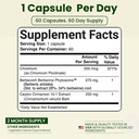 berberine-phytosome-supplement-berbevis--2.jpg