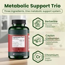 berberine-phytosome-supplement-berbevis--5.jpg