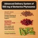 naturewise-berberine-1000mg-berberine-ph-3.jpg