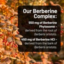 naturewise-berberine-1000mg-berberine-ph-4.jpg
