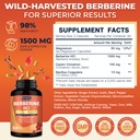 drfoster-berberine-hcl-1500mg-berberine--2.jpg