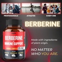 premium-berberine-supplement-with-ceylon-5.jpg