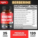 premium-berberine-supplement-with-ceylon-2.jpg