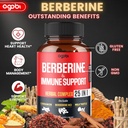 premium-berberine-supplement-with-ceylon-3.jpg