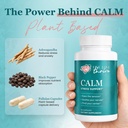 calm-ashwagandha-supplement-650mg-with-b-4.jpg