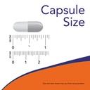 now-foods-now-acetyl-l-carnitine-500mg-3-6.jpg
