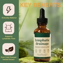 lymphoria-lymphatic-drainage-drops-lymph-3.jpg