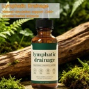 lymphoria-lymphatic-drainage-drops-lymph-6.jpg