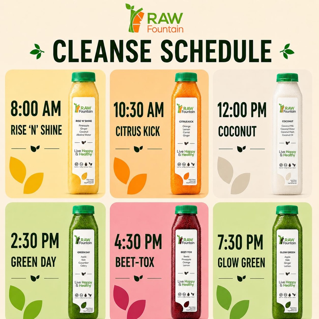 3-day-juice-cleanse-by-raw-fountain-all--4.jpg