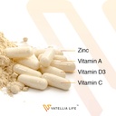 vatellia-life-immune-up-high-absorption--3.jpg