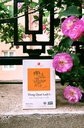 health-king-dong-quai-lady-s-herb-tea-20-6.jpg