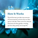nature-s-sunshine-thyroid-activator-100--6.jpg
