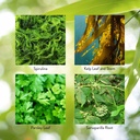 nature-s-sunshine-thyroid-activator-100--5.jpg