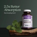 new-chapter-magnesium-ashwagandha-suppor-3.jpg