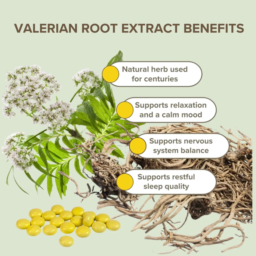 valerian-root-extract-5-glass-bottles-50-5.jpg