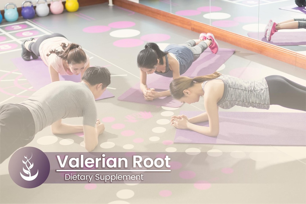 pure-original-ingredients-valerian-root--5.jpg