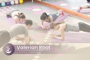 pure-original-ingredients-valerian-root--5.jpg