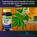 valerian-root-500mg-vegan-capsules-100-c-2.jpg