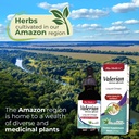 lab-valerian-root-valerian-root-drops-pu-3.jpg