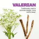 swisse-sleep-valerian-root-capsules-vale-3.jpg
