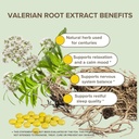 valerian-root-extract-odorless-easy-to-s-5.jpg