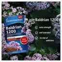 baldrian-1200-with-valerian-root-dry-ext-3.jpg