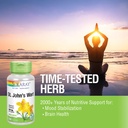 solaray-st-johns-wort-325-mg-whole-aeria-4.jpg