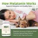 lignans-for-life-melatonin-for-dogs-peop-3.jpg
