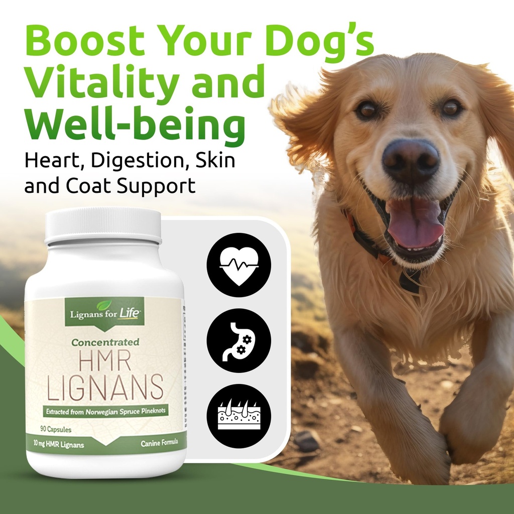 lignans-for-life-hmr-lignans-10mg-capsul-3.jpg