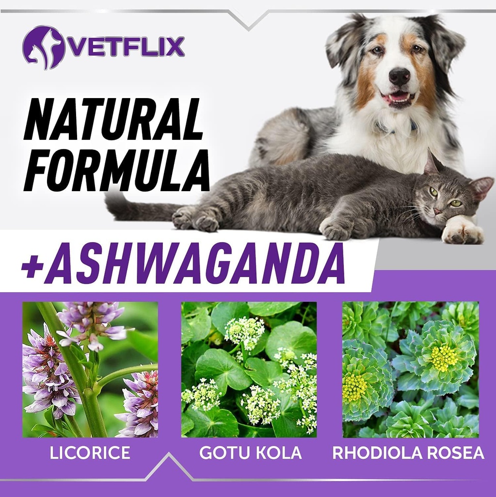 adrenal-support-for-dogs-cats-puppies-an-6.jpg