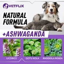 adrenal-support-for-dogs-cats-puppies-an-6.jpg