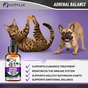 adrenal-support-for-dogs-cats-puppies-an-5.jpg