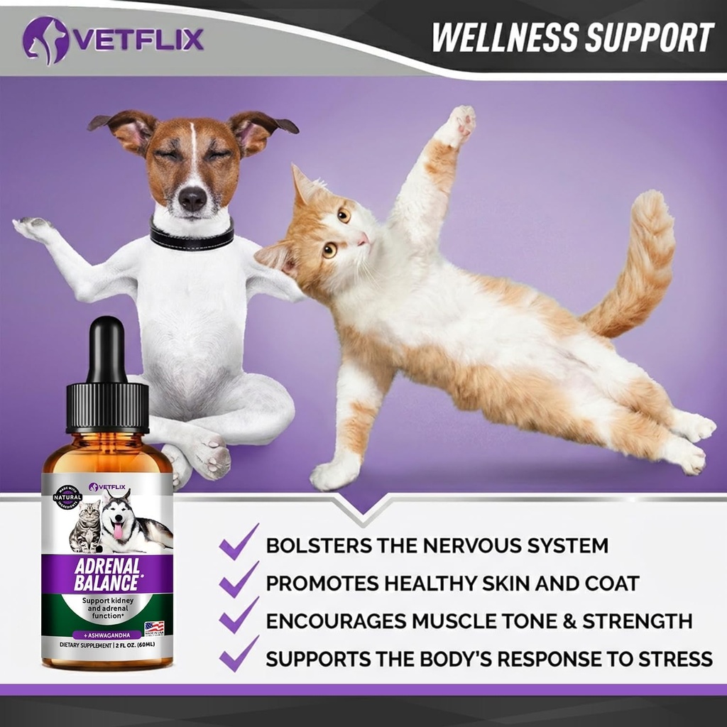 adrenal-support-for-dogs-cats-puppies-an-4.jpg