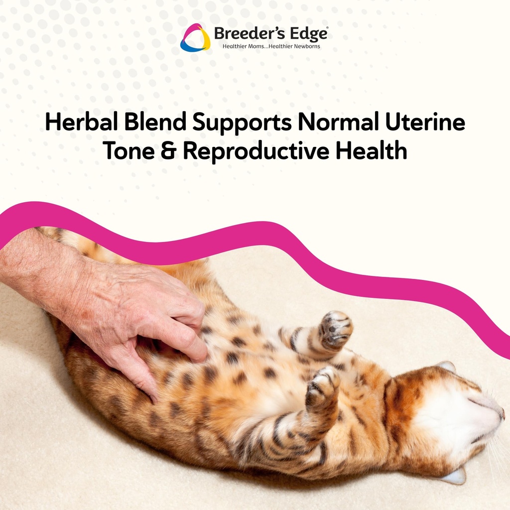 breeder-s-edge-oxy-mate-dog-cat-prenatal-5.jpg