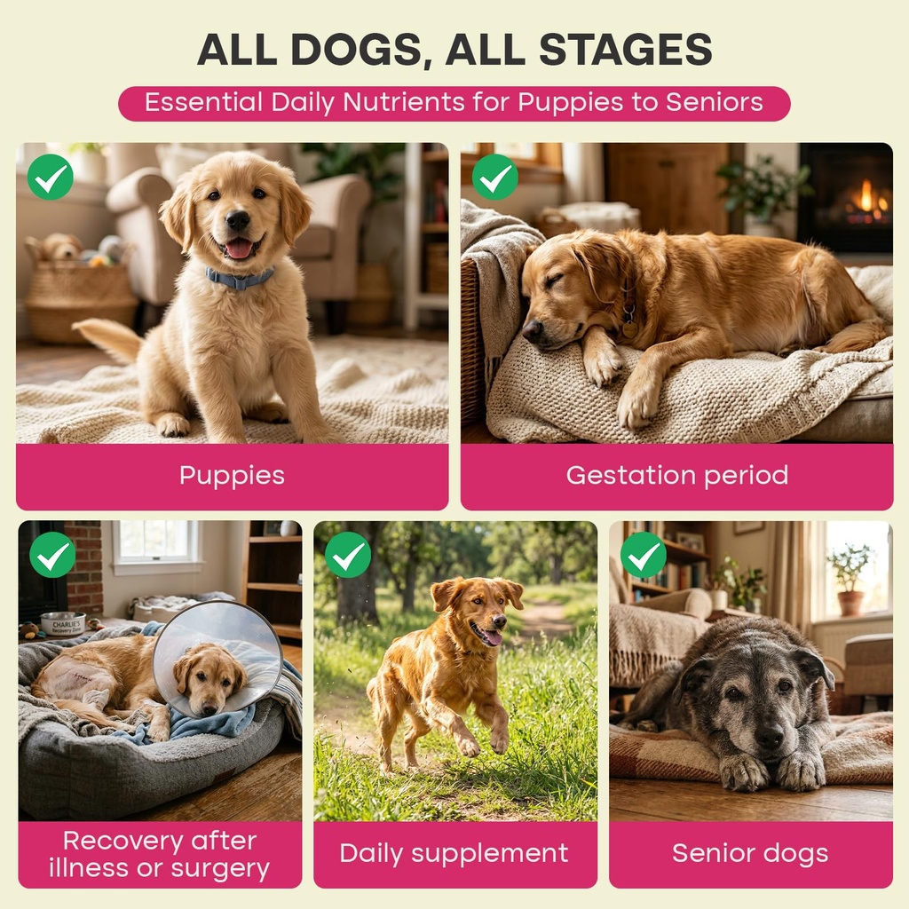 dog-multivitamin-chews-pet-vitamins-and--3.jpg