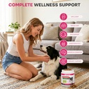 dog-multivitamin-chews-pet-vitamins-and--2.jpg
