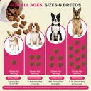 dog-multivitamin-chews-pet-vitamins-and--5.jpg