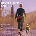 b1-supplement-ttfd-energy-production-cog-5.jpg
