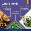 natural-sleep-aid-with-melatonin-ashwaga-5.jpg