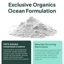 organics-ocean-krealyte-fusion-instantiz-5.jpg