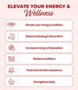 red-ginseng-fermented-enzymes-digestive--6.jpg