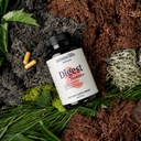ameo-life-probiotic-for-digestive-gut-he-2.jpg