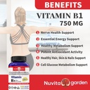 benfotiamine-750mg-120-vegetarian-capsul-3.jpg